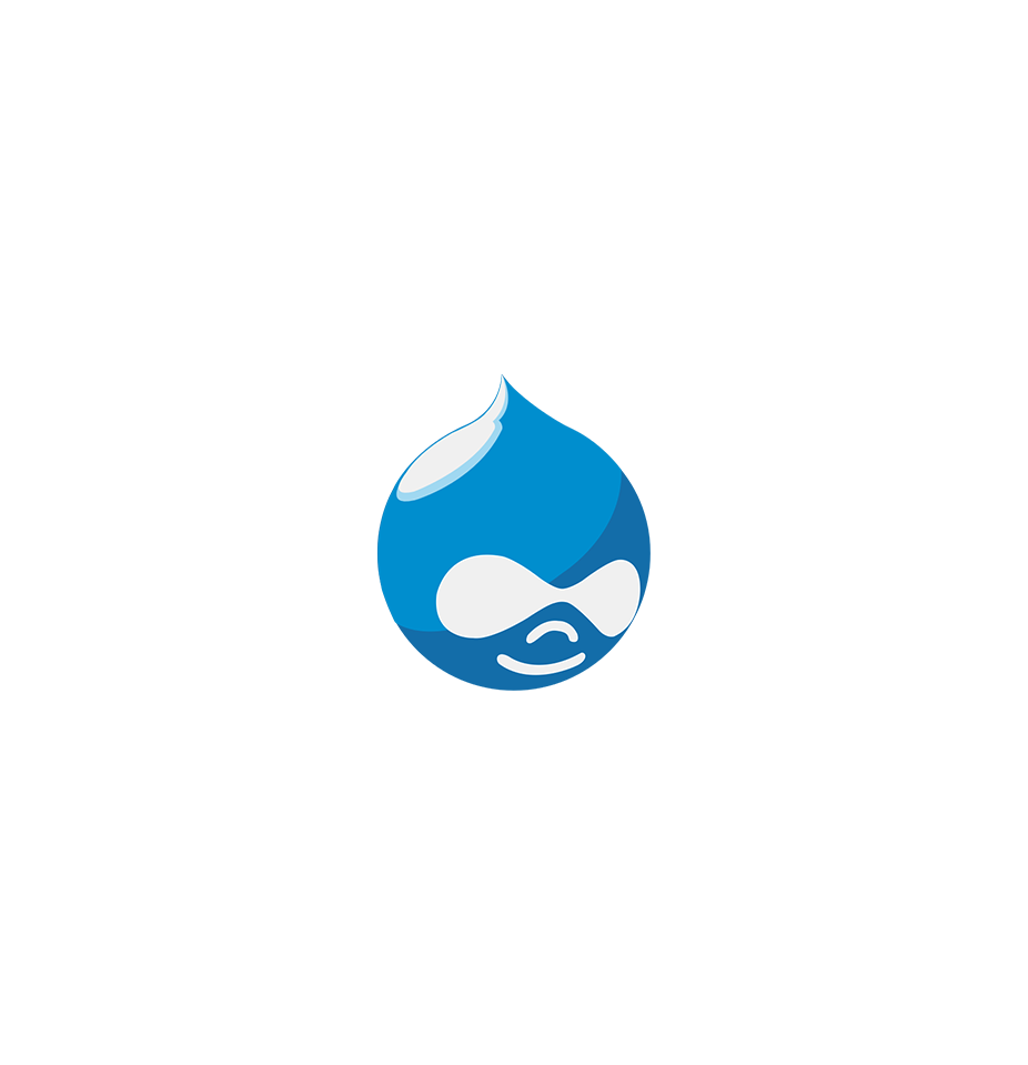 Hire Drupal Developer